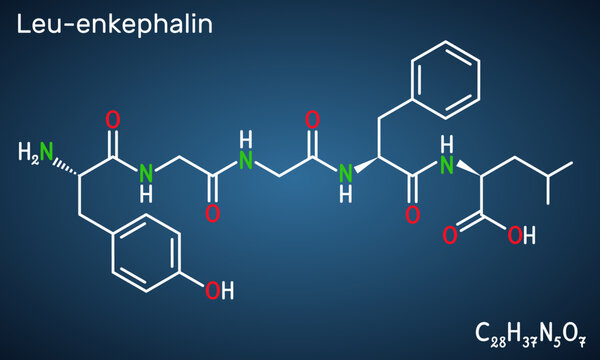 Leu-enkephalin molecule. Endogenous opioid peptide. Structural chemical formula,  dark blue background. Vector