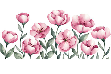 Transparent bouquet of tulips