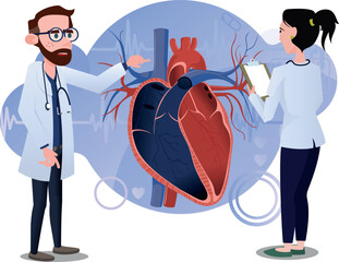 two doctors studying the coronary system. Human heart structure. Cardiac veins and venules.