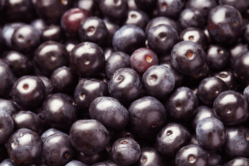 Ripe acai berries as background, closeup view