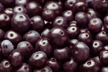 Ripe acai berries as background, closeup view