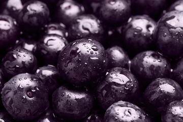 Wet acai berries as background, closeup view
