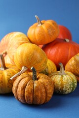 Group of fresh pumpkins on blue background, closeup