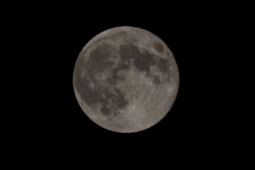 Fototapeta premium The full moon surface close up that lights up in the night.