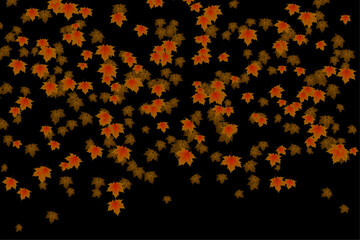 Use transparency mode. Pattern of autumn leaves falling gently on a black background. Vector illustration. 