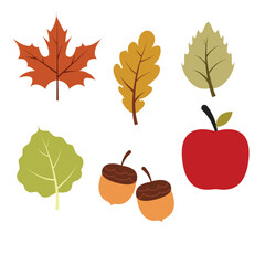 Thansgiving element summer in november, fruit and leaf summer