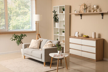 Interior of modern stylish living room with grey sofa and shelving unit