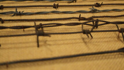 Barbed Wire Display