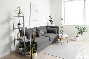 Interior of modern stylish living room with sofa, shelving unit and different houseplants