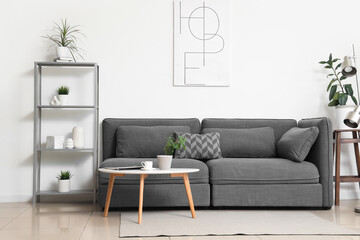 Interior of modern stylish living room with sofa, shelving unit and different houseplants