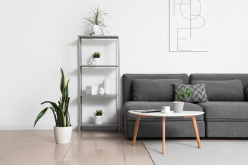 Interior of modern stylish living room with sofa, shelving unit and different houseplants