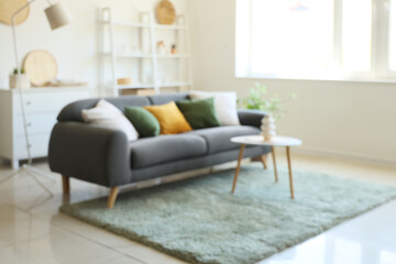 Comfortable sofa with cushions and coffee table with vase in interior of living room