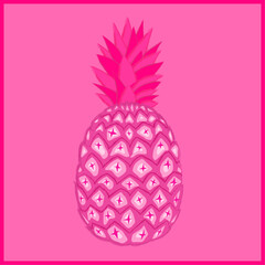 Abstract Pink Pineapple