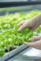 Hands-on demonstration of cellular agriculture technology for food sustainability, natural lighting, educational setting, interactive feel