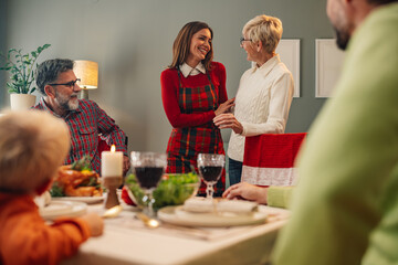 Family enjoying christmas dinner, mother and daughter sharing a moment