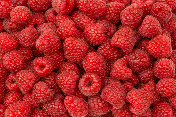 Tasty fresh raspberry as a background.