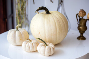 dynie © kolorowekadry