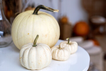 dynie © kolorowekadry