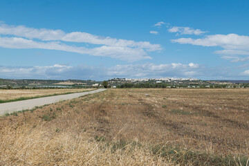 paesaggio rurale