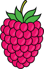 Raspberry Illustration with Leafy Stem, Bright and detailed illustration of a raspberry with a leafy stem, showcasing its vibrant red color and clustered texture in a graphic style.