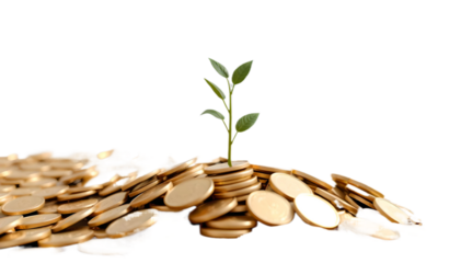A vibrant green plant grows from a pile of coins, symbolizing the growth of investment and prosperity, beautifully illustrated against a transparent background to enhance its significance 