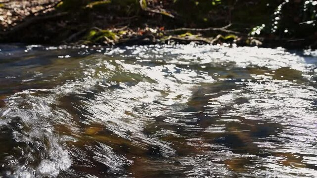 Closeup of rushing water in Vaughn Creek in the Blue Wall Preserve near Greenville, South Carolina, ambient sound