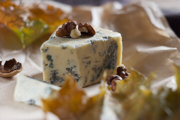 blue cheese lies on paper on the table