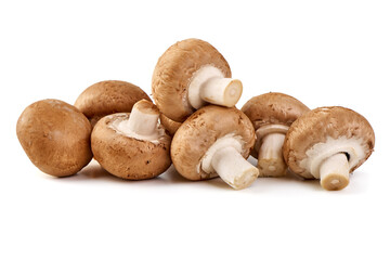 Royal brown champignons, isolated on white background.