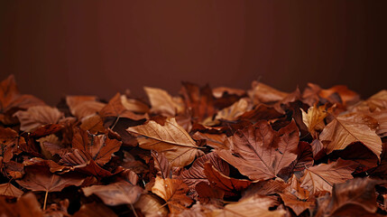 Fototapeta premium A close-up of a pile of brown, autumn leaves against a solid brown background.