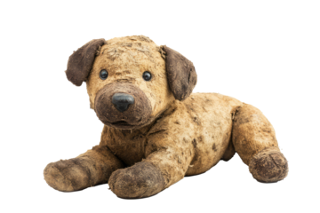 A well-loved, vintage stuffed dog toy with noticeable wear and tear, showcasing its timeless charm and nostalgia on a simple white backdrop for contrast.