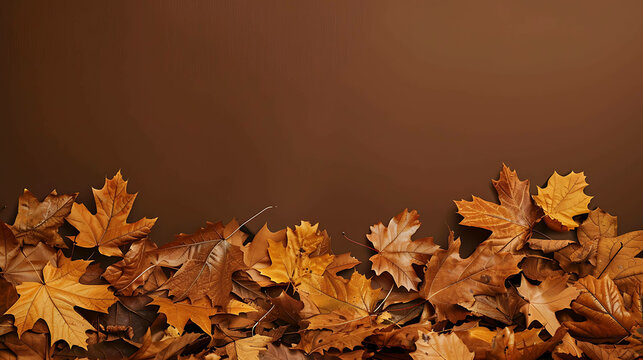 A studio shot of a pile of brown and orange fall leaves on a solid brown background.
