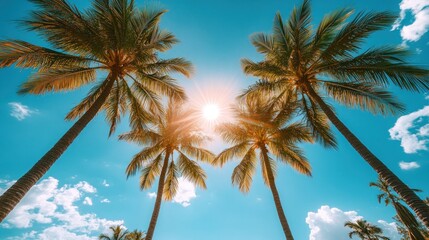 Palm trees reach for the sun in a tropical paradise.