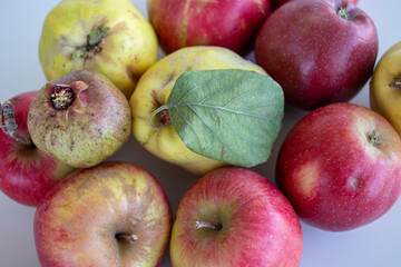 apples on a white background