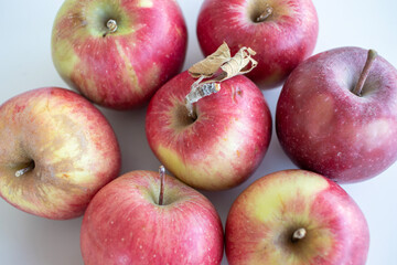 red apples on white background
