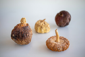 Dried and rotten pumpkin, seeds remained. White background.
