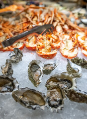Fresh oysters on ice at a buffet, cooked lobster halves in background