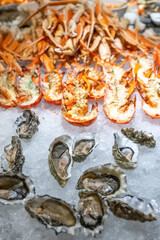 Fresh oysters on ice at a buffet, cooked lobster halves in background