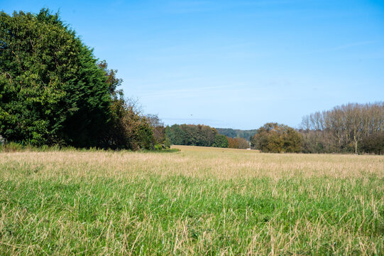 Grass fields and trees at the Flemish countryside between Dilbeek and Sint Pieters Leeuw, Brabant, Belgium