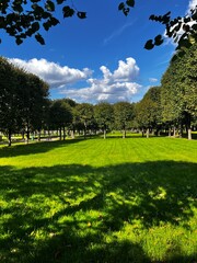 spring in the park