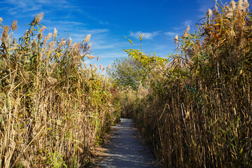 Liberty State Park in Jersey City