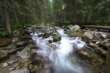 waterfall in the forest
