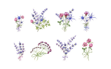 Watercolor illustration of the wildflowers; collection of the bouquets isolated on transparent background. Cute hand drawn clipart for stickers, scrapbooking, greeting cards, and more