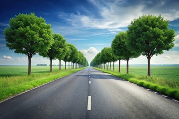 Minimalist road surrounded by grass and trees