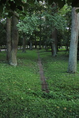 iron grating gates of drainage system for drainage of stormwater in park area next to green lawn. modern landscape technologies and design
