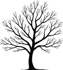 Obraz premium silhouette of tree