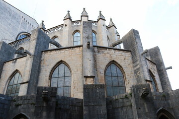 The back side of Girona Cathedral stands tall with its medieval stone architecture