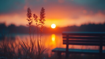 Fototapeta premium Scenic Sunset Lighting with Bench and Plants