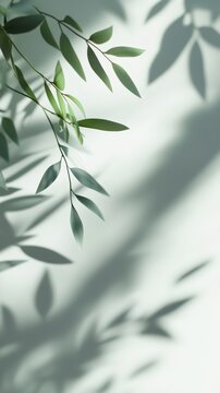 Serene Green Leaves Casting Shadows on Soft Background