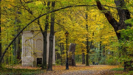 colorful, golden leaves autumn in the park