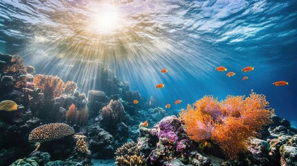 A stunning underwater scene featuring vibrant coral reefs, colorful fish, and sunlight streaming through the water.